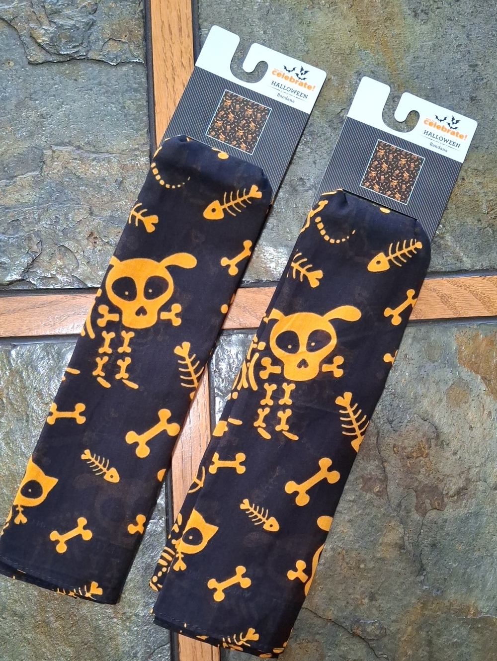Halloween Skull Dog Bandana/Twilly